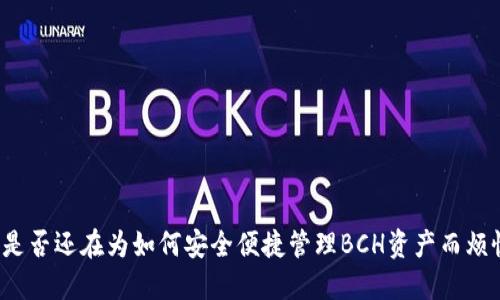 你是否还在为如何安全便捷管理BCH资产而烦恼?