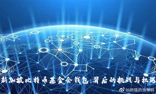 新加坡比特币基金会钱包:背后的挑战与机遇