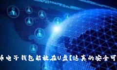 比特币电子钱包能放在U盘?这真的安全可靠吗?