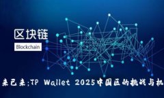 未来已来:TP Wallet 2025中国区的挑战与机遇