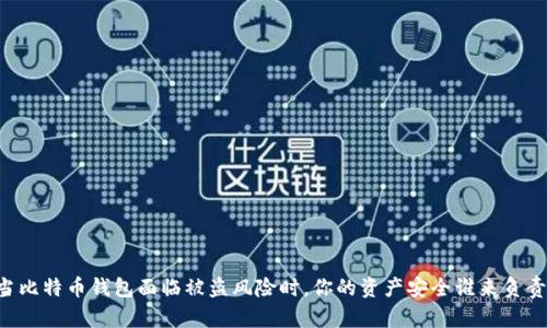 当比特币钱包面临被盗风险时,你的资产安全谁来负责?