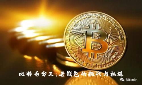 比特币分叉:老钱包的挑战与机遇