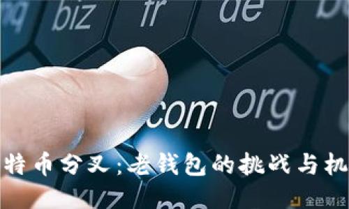 比特币分叉:老钱包的挑战与机遇